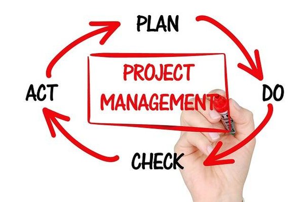 Quel est le rôle du management ?